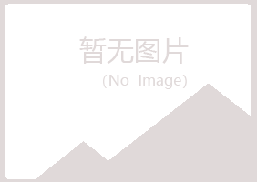 山东晓夏能源有限公司